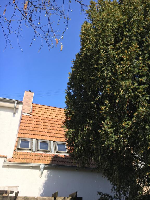 Pension Haus Baron 2 Friedrichsfeld Edingen-Neckarhausen Exteriér fotografie